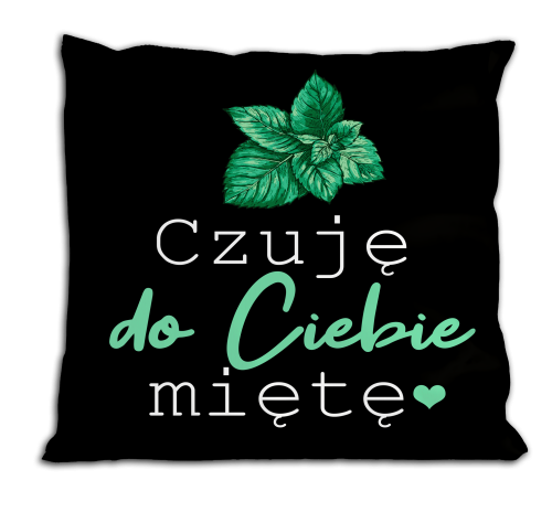 Poduszka - Czuję do ciebie miętę.png