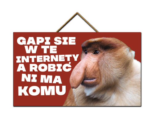 Tabliczka - Gapi się w te internety.png