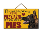 Tabliczka - Pies - nie ma większej przyjaźni