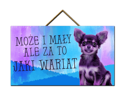 Tabliczka - Pies - wariat.png