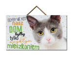 Tabliczka - Gdyby nie kot