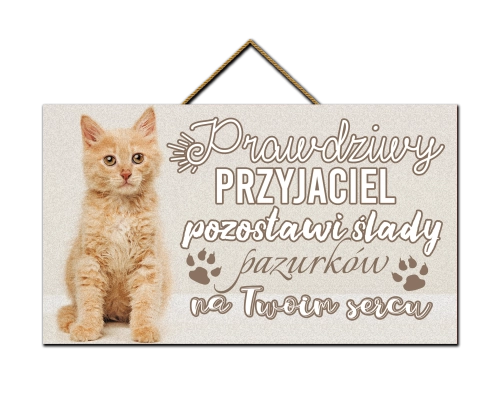 Tabliczka - Kot - prawdziwy przyjaciel