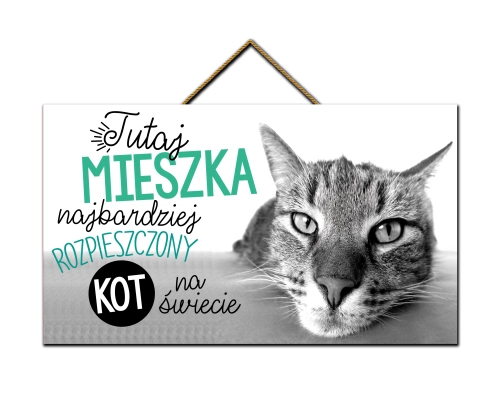 Tabliczka - Najbardziej rozpieszczony kot