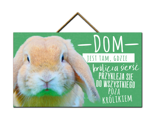 Tabliczka - Królik - dom jest tam.png