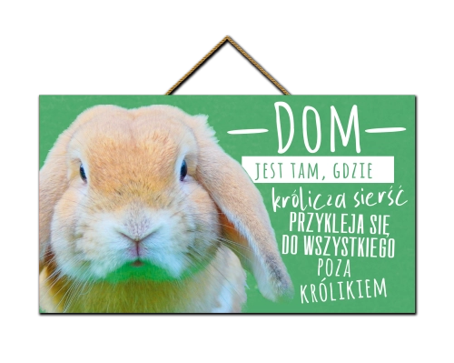 Tabliczka - Królik - dom jest tam