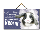 Tabliczka - Najbardziej rozpieszczony królik