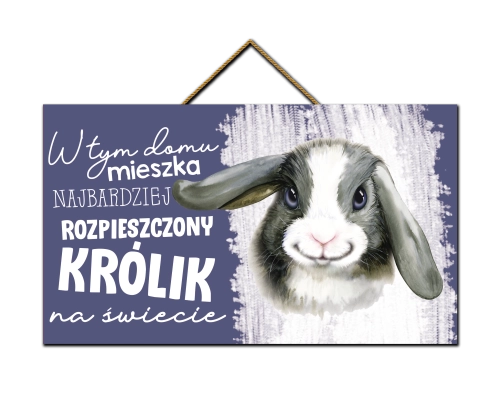 Tabliczka - Najbardziej rozpieszczony królik