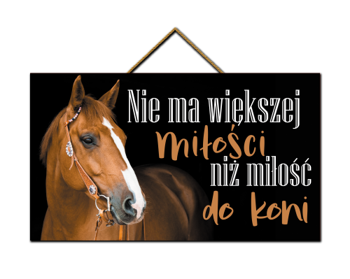 Tabliczka - Miłość do koni.png