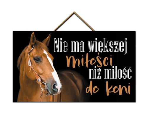 Tabliczka - Miłość do koni