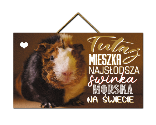 Tabliczka - Najsłodsza świnka morska.png