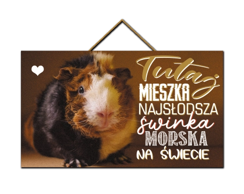 Tabliczka - Najsłodsza świnka morska
