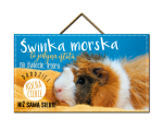 Tabliczka - Świnka morska to jedyna