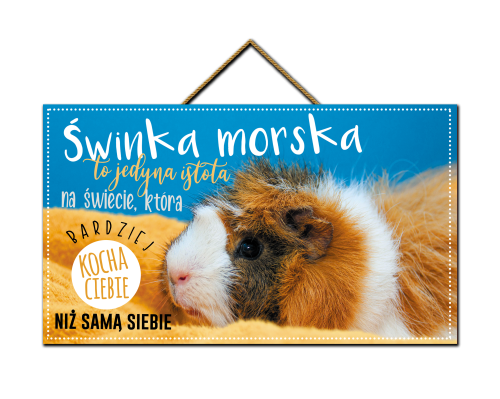 Tabliczka - Świnka morska to jedyna.png