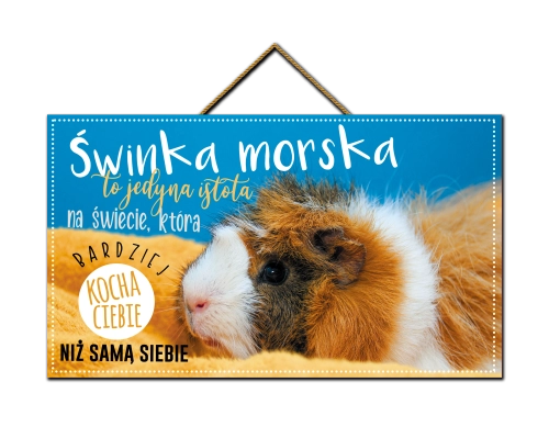 Tabliczka - Świnka morska to jedyna