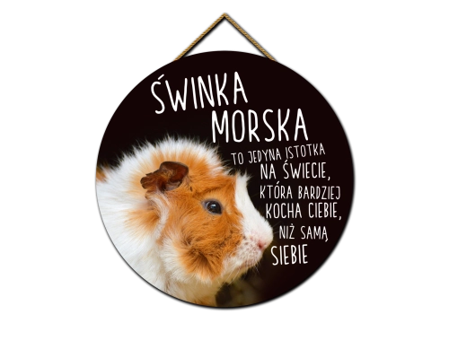 Tabliczka - Świnka morska