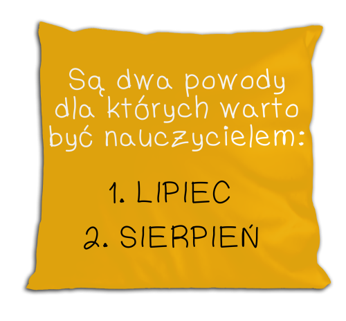 Dwa powody - poduszka.png