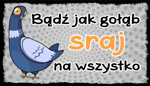 BĄDŹ JAK GOŁĄB - TABLICZKA LUZAKA