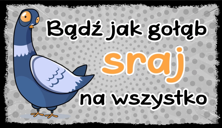 BĄDŹ JAK GOŁĄB - TABLICZKA LUZAKA
