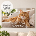 Kot rządzi na ściennym panelu.png
